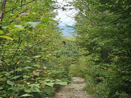 Property in Oxford County, Maine