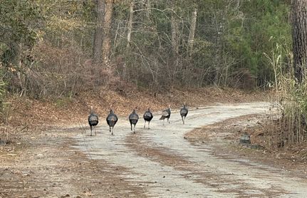 Property for sale in Beaufort County, South Carolina