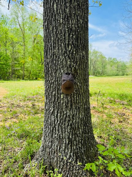 Recreational Property for sale in Hardeman County, Tennessee