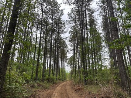 Residential Property for sale in Choctaw County, Mississippi