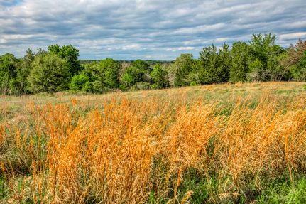 Property for sale in Lee County, Texas