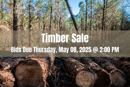 Property in Little River County, Arkansas