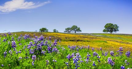 Property for sale in Kerr County, Texas