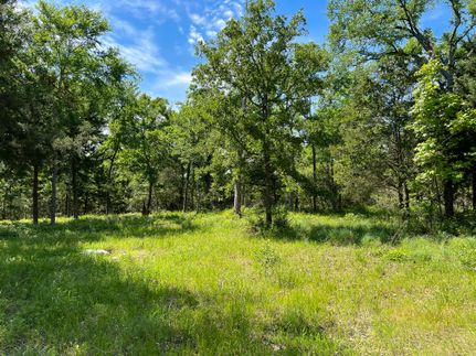 Undeveloped Land for sale in Leon County, Texas