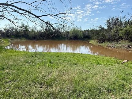 Waterfront Property for sale in Coke County, Texas