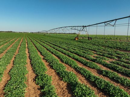 Property for sale in Haskell County, Texas