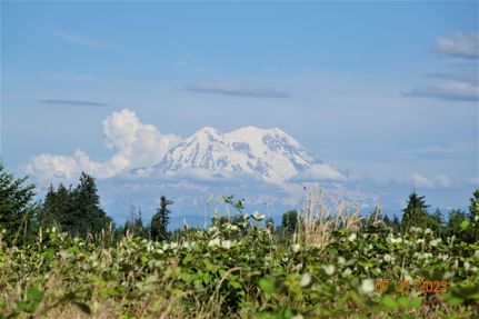 Property in Thurston County, Washington