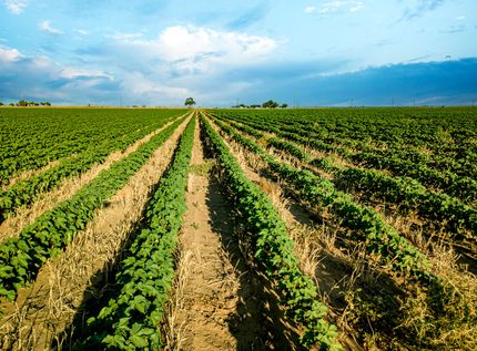 Property for sale in Hockley County, Texas