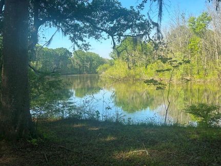 Riverfront Property for sale in Screven County, Georgia