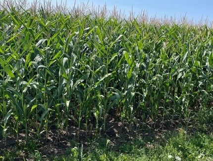 Property for sale in Door County, Wisconsin