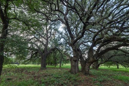 Property in Hood County, Texas