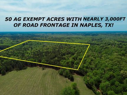 Timberland Property for sale in Cass County, Texas