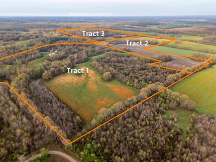 Property in Pulaski County, Illinois