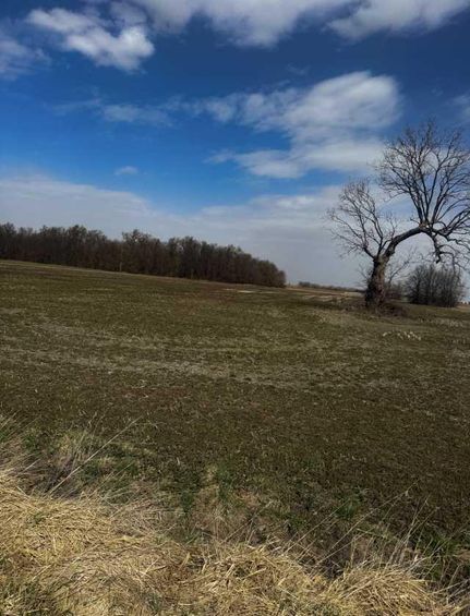 Property for sale in Chariton County, Missouri