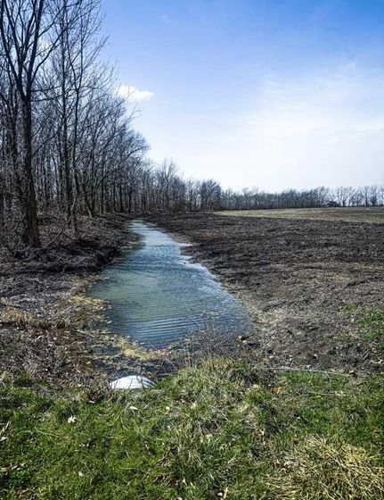 Timberland Property for sale in Chariton County, Missouri