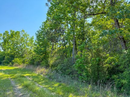 Property for sale in Tyler County, Texas