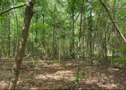Undeveloped Land for sale in Coffee County, Alabama