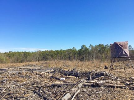 Property for sale in Hot Spring County, Arkansas