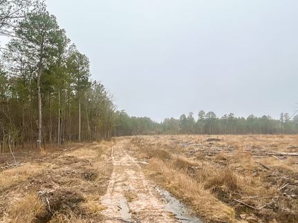 Property for sale in Calhoun County, Arkansas