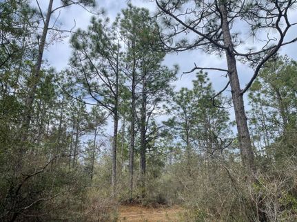 Property for sale in Jackson County, Florida