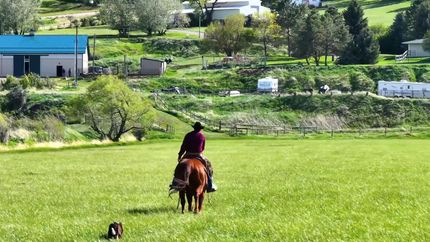 Riverfront Property for sale in Cascade County, Montana