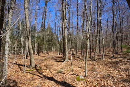 Property in Fulton County, New York