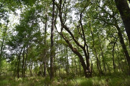 Property for sale in Alachua County, Florida