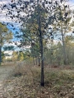 Property in Turner County, Georgia