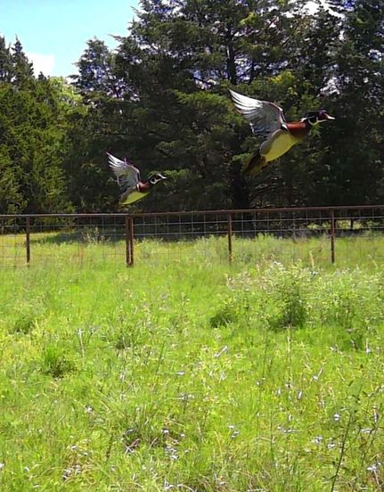 Property in Grayson County, Texas