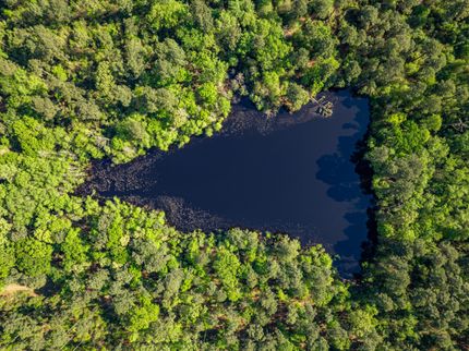 Ranch Property for sale in Camp County, Texas