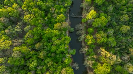 Property for sale in Marion County, Texas