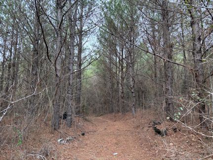 Undeveloped Land for sale in Jefferson County, Alabama