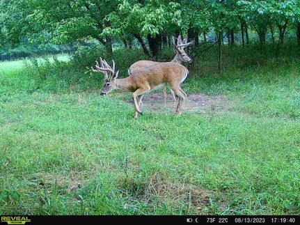 Property in Cooper County, Missouri