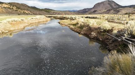 Ranch Property for sale in Piute County, Utah