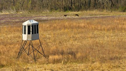 Property for sale in Daviess County, Missouri