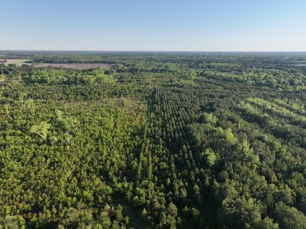 Property for sale in Lenoir County, North Carolina