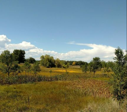 Property for sale in Conejos County, Colorado