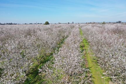 Property for sale in Fresno County, California