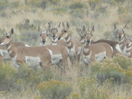 Property for sale in Lake County, Oregon