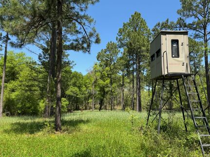 Property in Terrell County, Georgia