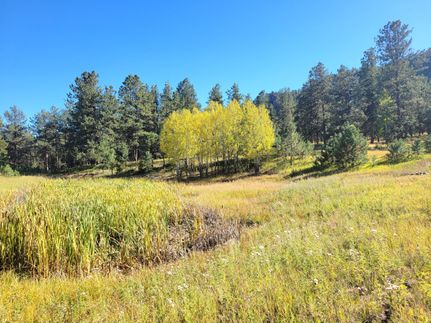 Hunting Land for sale in Teller County, Colorado