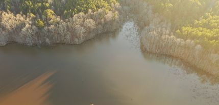 Property for sale in Tippah County, Mississippi