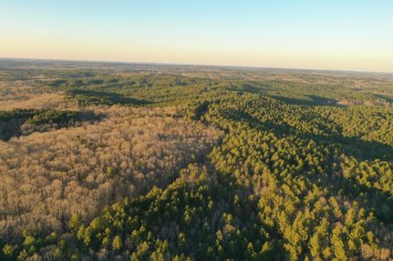 Timberland Property for sale in Tippah County, Mississippi
