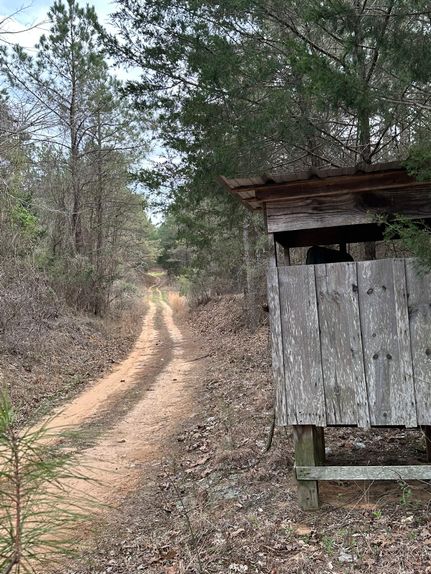 Property for sale in Tippah County, Mississippi