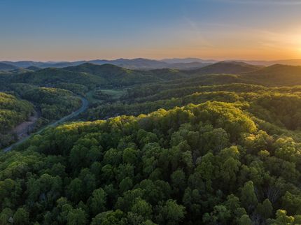 Residential Property for sale in Albemarle County, Virginia