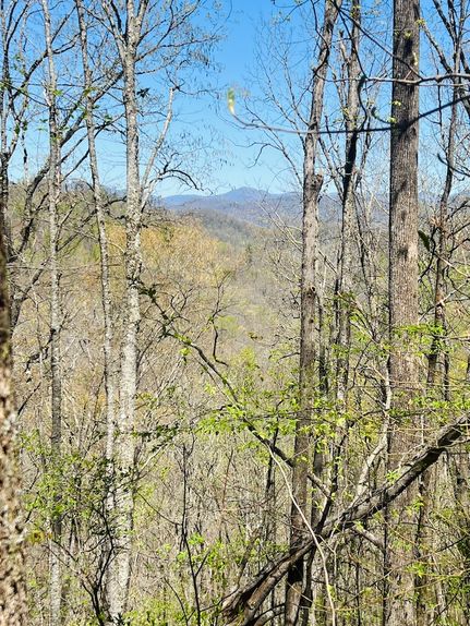 Undeveloped Land for sale in Jackson County, North Carolina