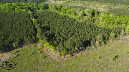 Property for sale in Kemper County, Mississippi