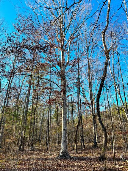 Property in Elmore County, Alabama