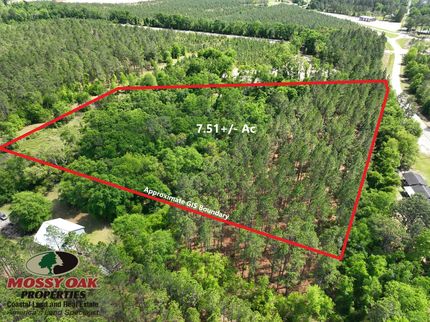 Property for sale in Pierce County, Georgia