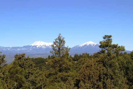 Timberland Property for sale in Las Animas County, Colorado